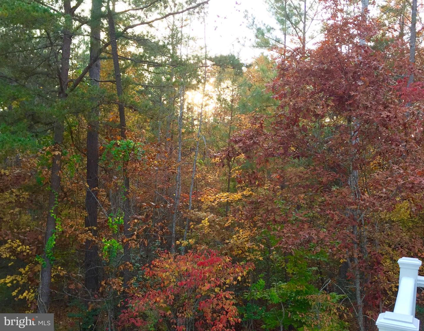 53 QUEEN LAURENS CT, FREDERICKSBURG, Virginia 22406, 4 Bedrooms Bedrooms, 16 Rooms Rooms,2 BathroomsBathrooms,Residential,For sale,53 QUEEN LAURENS CT,VAST2045372 MLS # VAST2045372