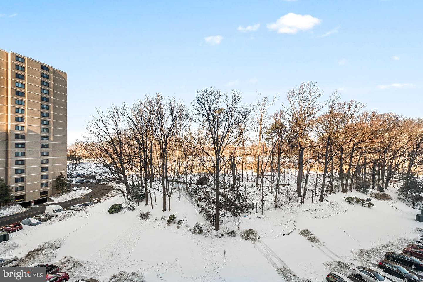 203 YOAKUM PKWY #715, ALEXANDRIA, Virginia 22304, 1 Bedroom Bedrooms, ,1 BathroomBathrooms,Residential,For sale,203 YOAKUM PKWY #715,VAAX2053582 MLS # VAAX2053582