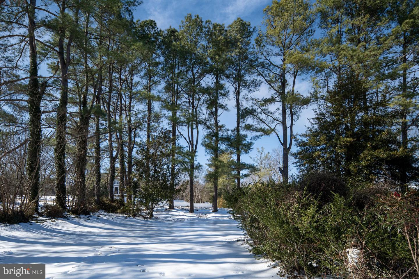 1 WALTER CIR, FREDERICKSBURG, Virginia 22405, 3 Bedrooms Bedrooms, ,3 BathroomsBathrooms,Residential,For sale,1 WALTER CIR,VAST2045590 MLS # VAST2045590