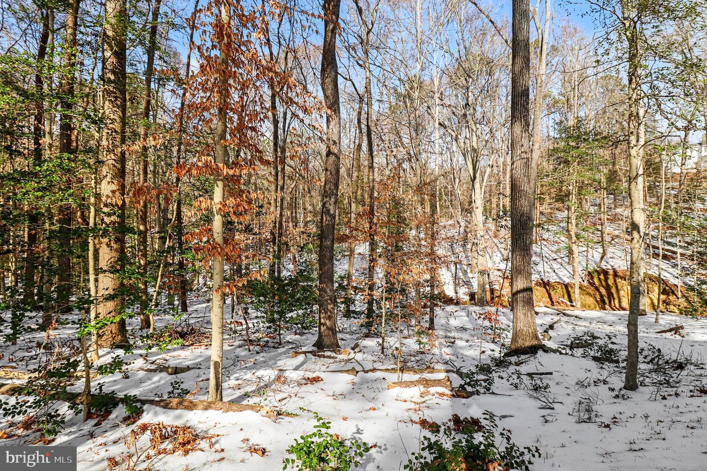 5170 BEMISS RD, RICHMOND, Virginia 23234, 4 Bedrooms Bedrooms, ,3 BathroomsBathrooms,Residential,For sale,5170 BEMISS RD,VARC2000822 MLS # VARC2000822