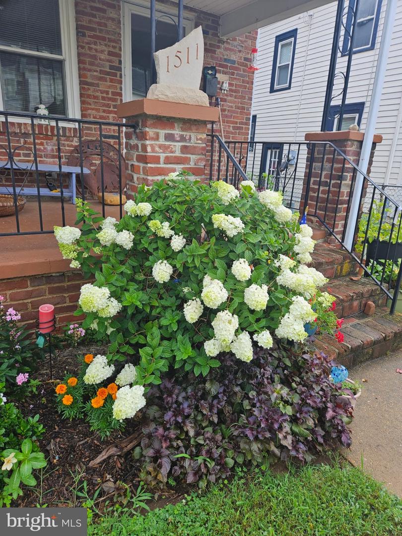 1511 CHARLES ST, FREDERICKSBURG, Virginia 22401, 3 Bedrooms Bedrooms, ,1 BathroomBathrooms,Residential,For sale,1511 CHARLES ST,VAFB2009594 MLS # VAFB2009594