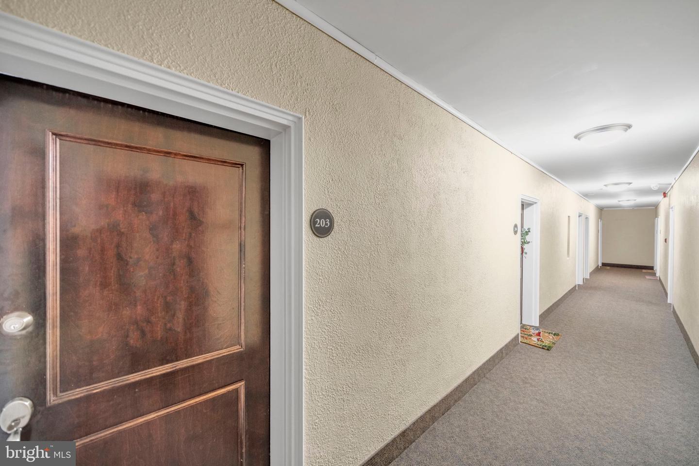 719 S ST ASAPH ST #203, ALEXANDRIA, Virginia 22314, 1 Bedroom Bedrooms, 2 Rooms Rooms,1 BathroomBathrooms,Residential,For sale,719 S ST ASAPH ST #203,VAAX2053778 MLS # VAAX2053778