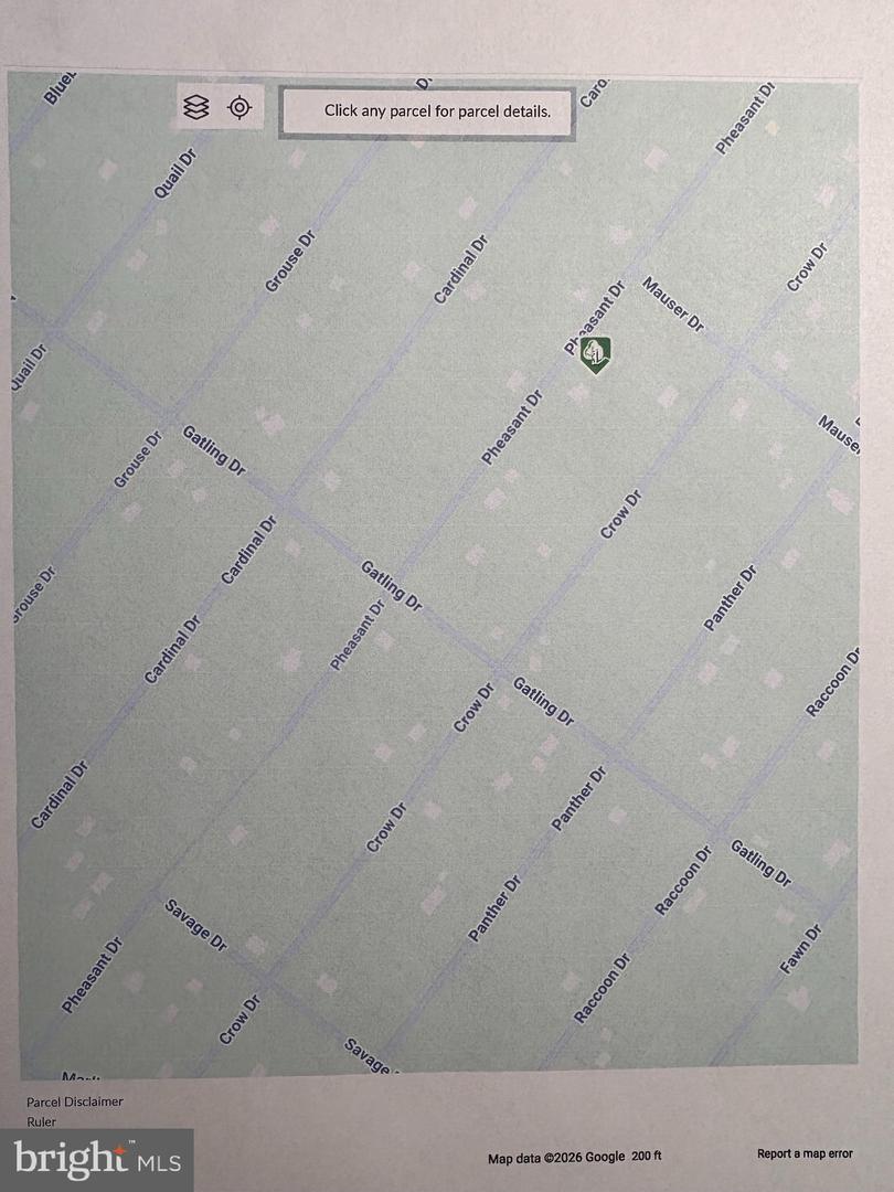 LOT 18 PHEASANT DR, WINCHESTER, Virginia 22602, ,Land,For sale,LOT 18 PHEASANT DR,VAFV2039430 MLS # VAFV2039430