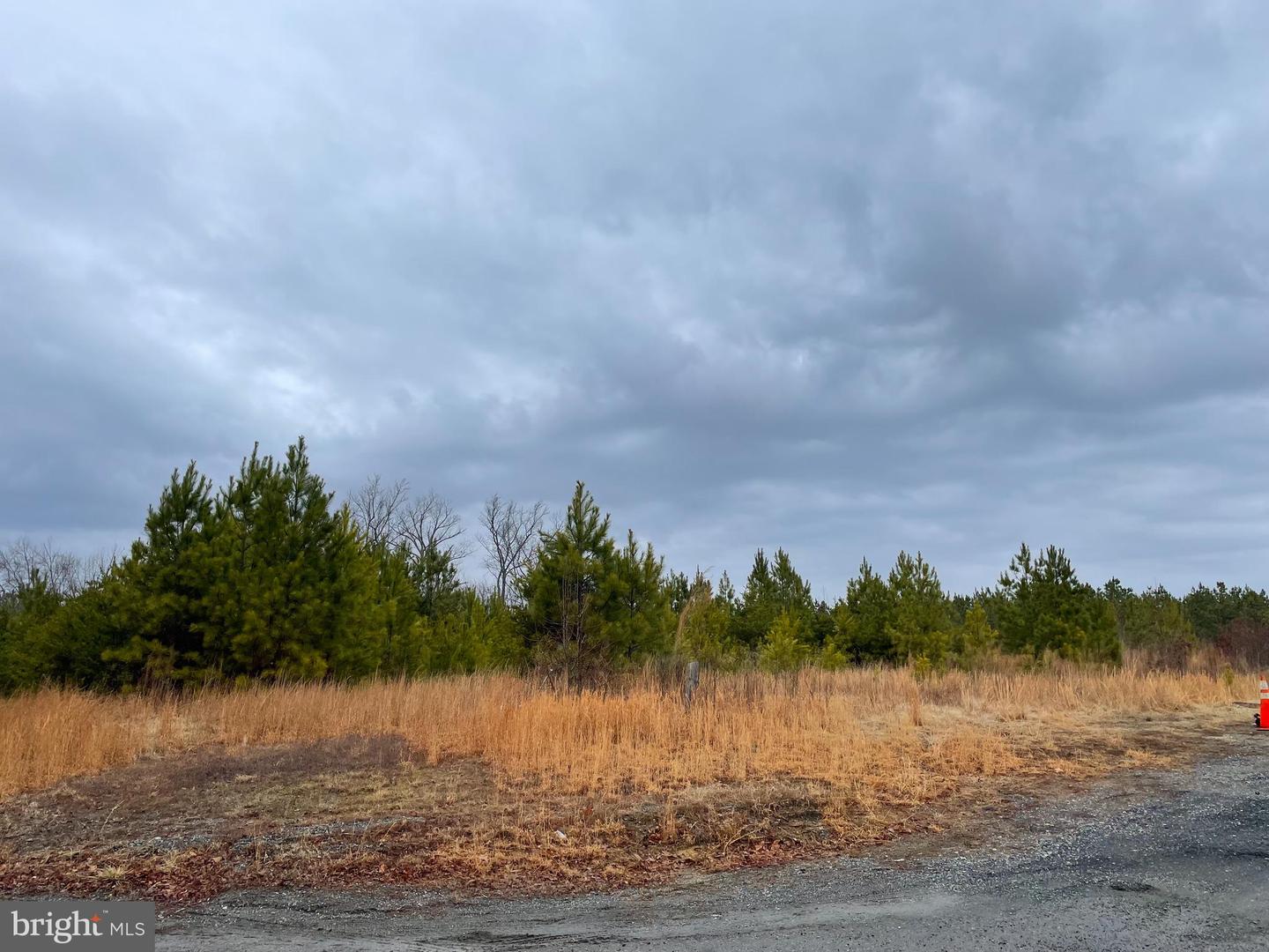 U.S RT 1, RUTHER GLEN, Virginia 22546, ,Land,For sale,U.S RT 1,VACV2009484 MLS # VACV2009484