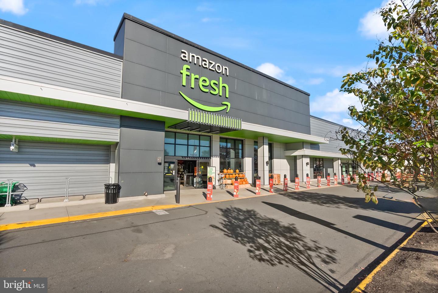 6905-B KEYSER WAY, ALEXANDRIA, Virginia 22310, 2 Bedrooms Bedrooms, ,2 BathroomsBathrooms,Residential,For sale,6905-B KEYSER WAY,VAFX2276352 MLS # VAFX2276352