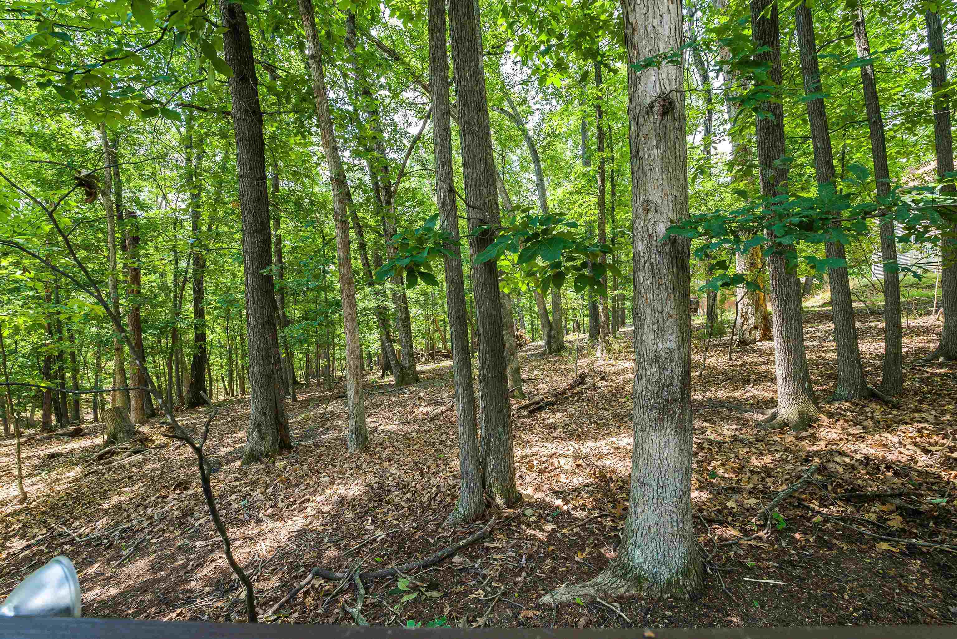 409 CUB LN, MCGAHEYSVILLE, Virginia 22840, 3 Bedrooms Bedrooms, ,2 BathroomsBathrooms,Residential,409 CUB LN,673072 MLS # 673072