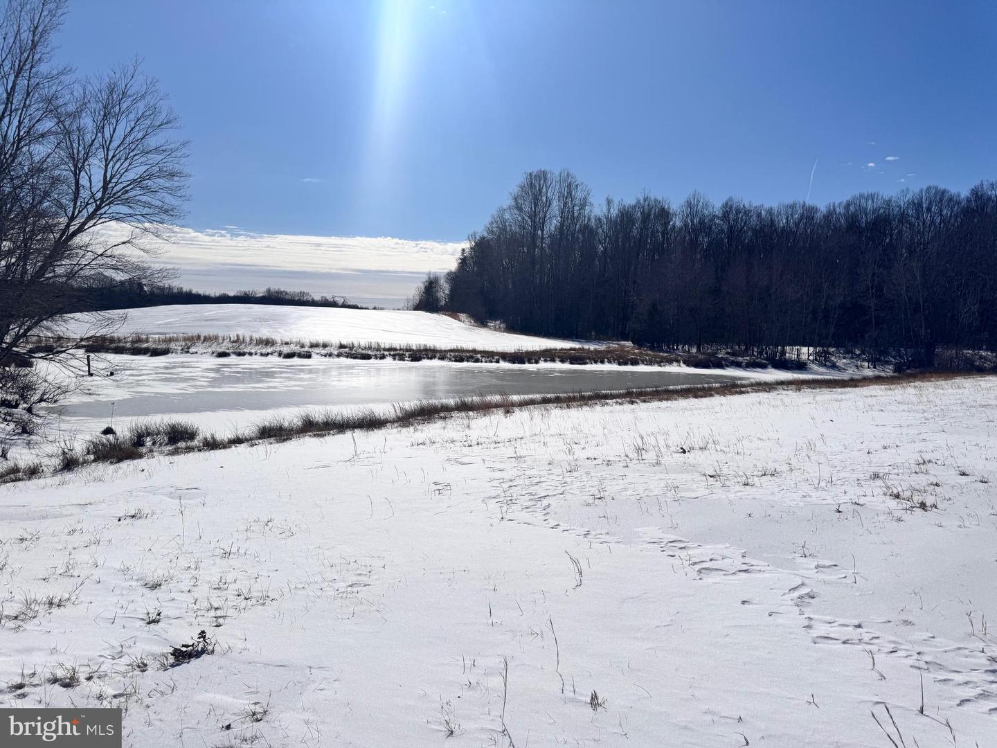 22 AEOLIAN WAY, BUMPASS, Virginia 23024, ,Land,For sale,22 AEOLIAN WAY,VALA2009254 MLS # VALA2009254