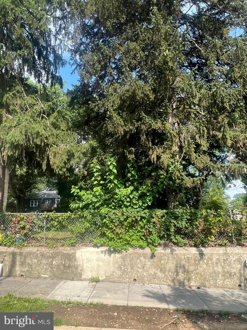 318 57TH ST NE, WASHINGTON, District Of Columbia 20019, ,Land,For sale,318 57TH ST NE,DCDC2244950 MLS # DCDC2244950 318 57TH ST NE, WASHINGTON, District Of Columbia 20019, ,Land,For sale,318 57TH ST NE,DCDC2244950 MLS # DCDC2244950