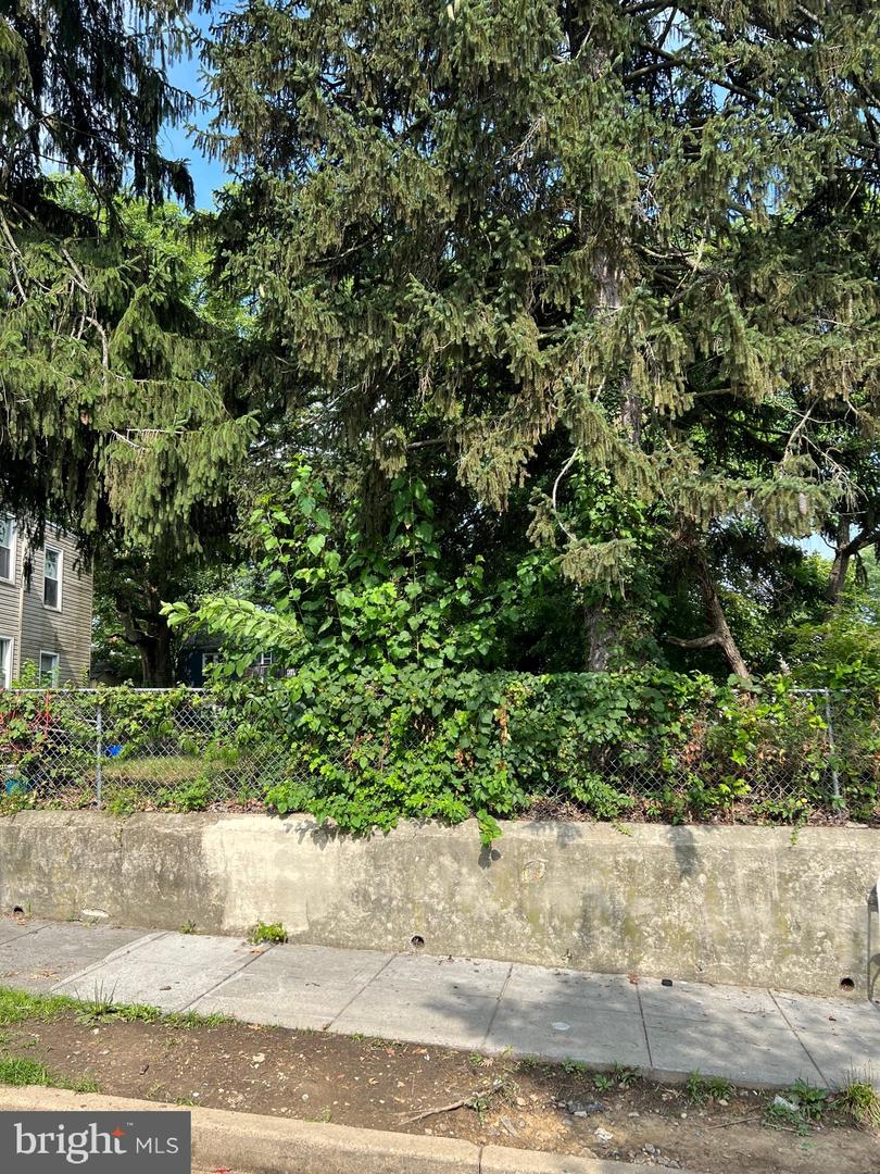 318 57TH ST NE, WASHINGTON, District Of Columbia 20019, ,Land,For sale,318 57TH ST NE,DCDC2244950 MLS # DCDC2244950 318 57TH ST NE, WASHINGTON, District Of Columbia 20019, ,Land,For sale,318 57TH ST NE,DCDC2244950 MLS # DCDC2244950