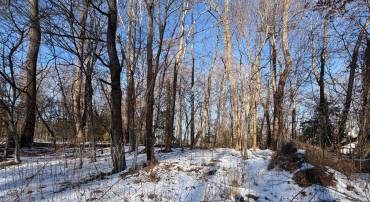 LOT 139 BISHOP DR, MONTROSS, Virginia 22520, ,Land,For sale,LOT 139 BISHOP DR,VAWE2010476 MLS # VAWE2010476