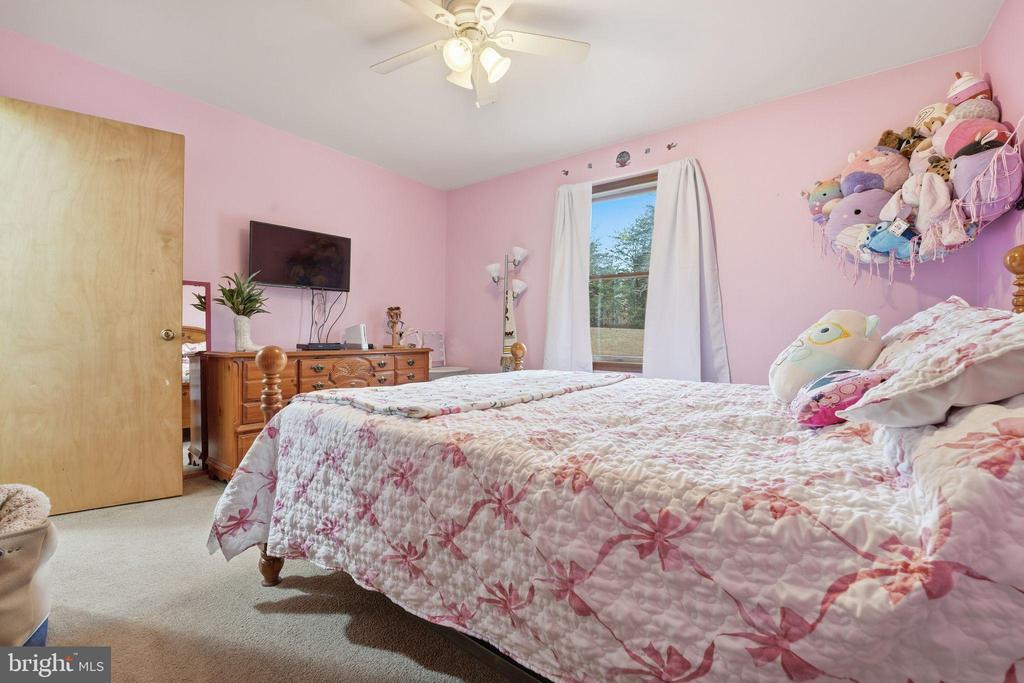 14566 SNAKE CASTLE RD, SUMERDUCK, Virginia, 3 Bedrooms Bedrooms, ,2 BathroomsBathrooms,Residential,14566 SNAKE CASTLE RD,VAFQ2020138 MLS # VAFQ2020138