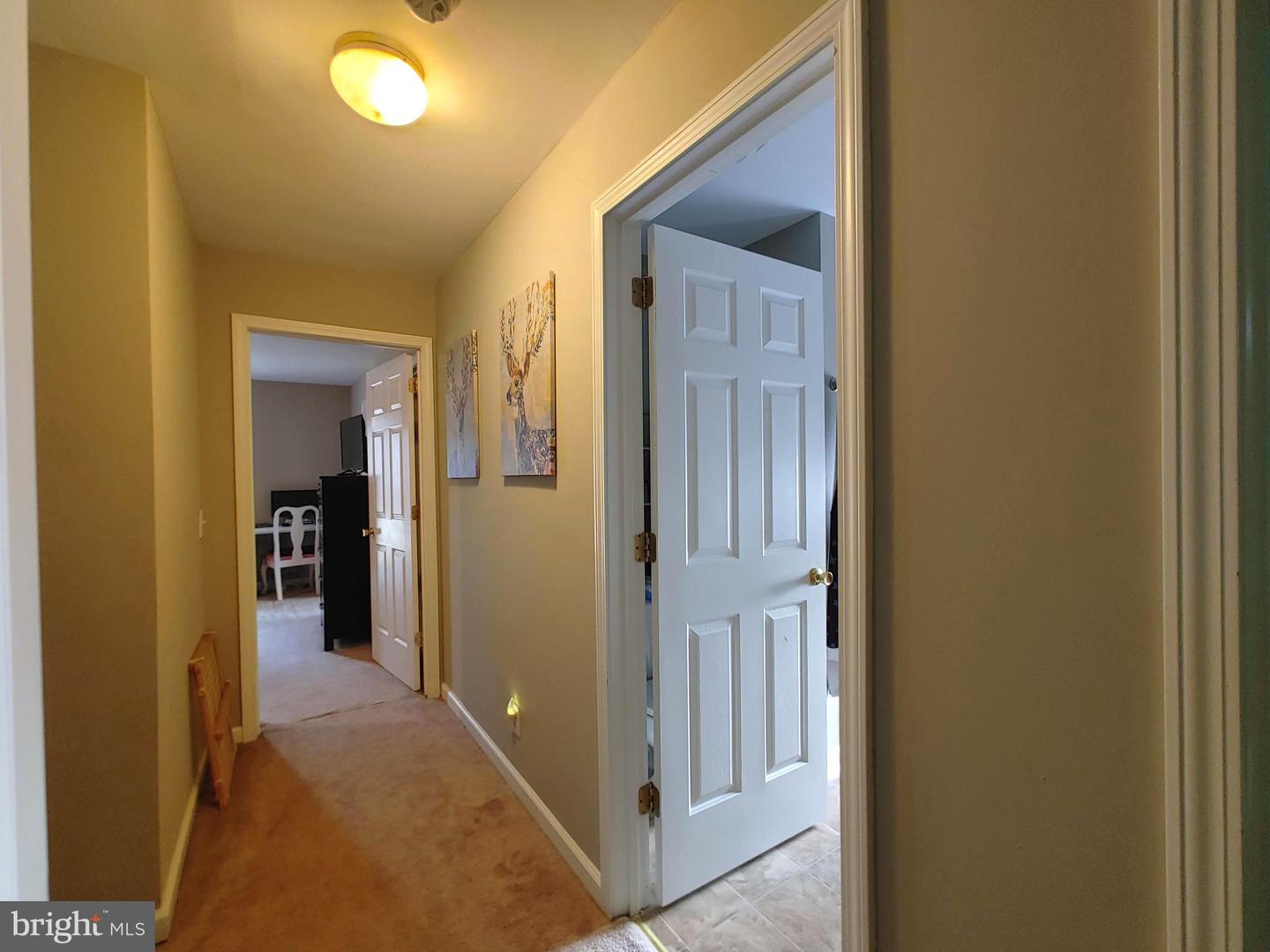 125 KINGS ORCHARD LN, MONTROSS, Virginia 22520, 4 Bedrooms Bedrooms, ,3 BathroomsBathrooms,Residential,For sale,125 KINGS ORCHARD LN,VAWE2010342 MLS # VAWE2010342