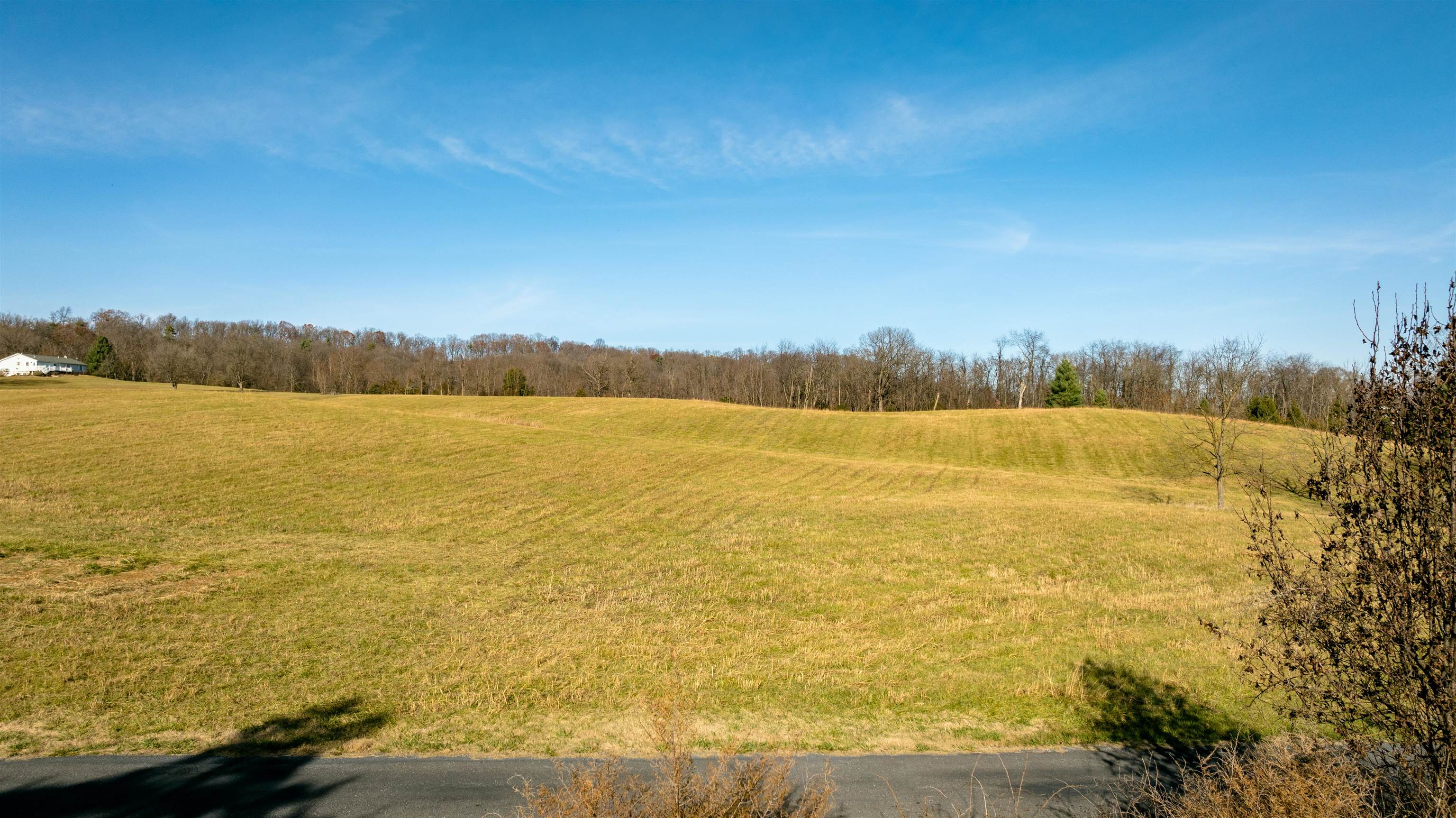 7.9 ac FLAT ROCK RD, NEW MARKET, Virginia 22844, ,Land,7.9 ac FLAT ROCK RD,672239 MLS # 672239