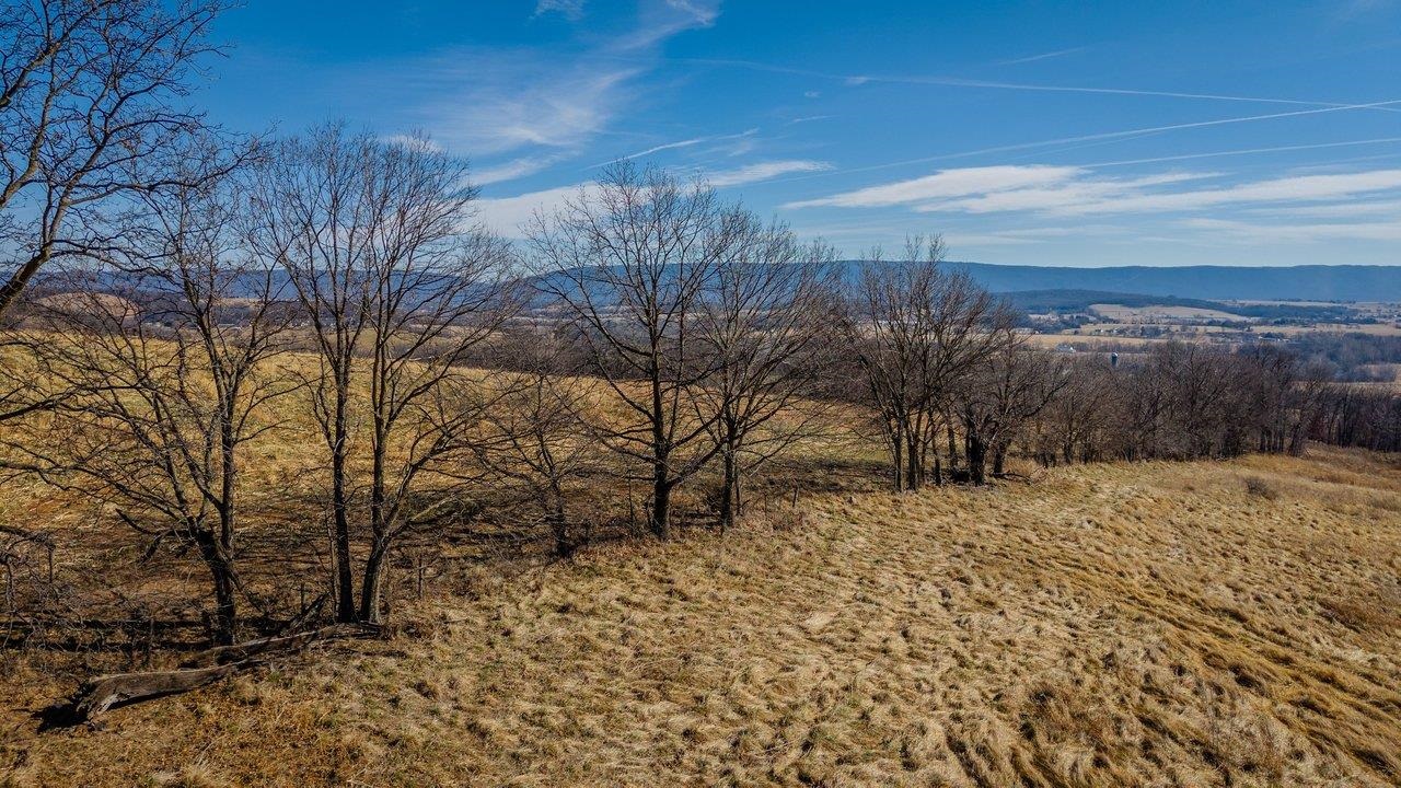 15854 FORESTVILLE RD, TIMBERVILLE, Virginia 22853, ,Land,15854 FORESTVILLE RD,673087 MLS # 673087 15854 FORESTVILLE RD, TIMBERVILLE, Virginia 22853, ,Land,15854 FORESTVILLE RD,673087 MLS # 673087