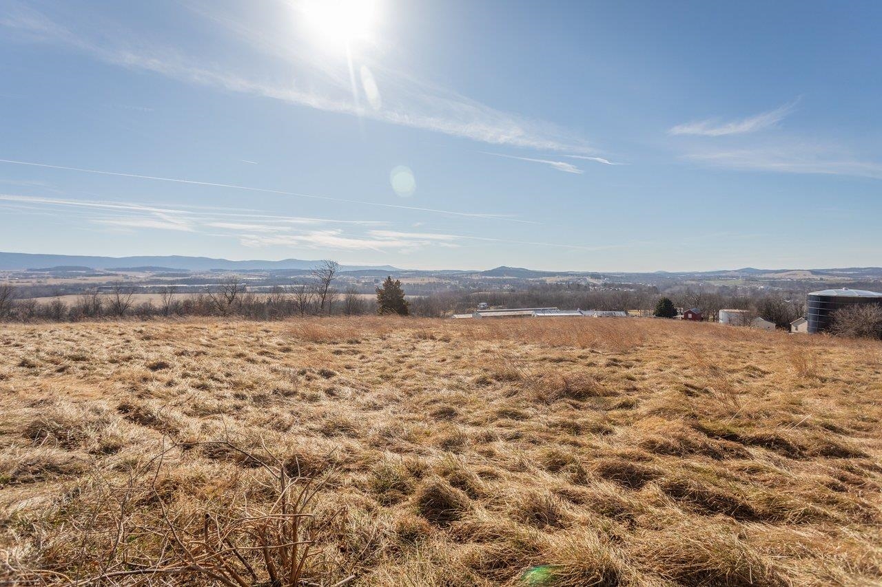 15854 FORESTVILLE RD, TIMBERVILLE, Virginia 22853, ,Land,15854 FORESTVILLE RD,673087 MLS # 673087 15854 FORESTVILLE RD, TIMBERVILLE, Virginia 22853, ,Land,15854 FORESTVILLE RD,673087 MLS # 673087