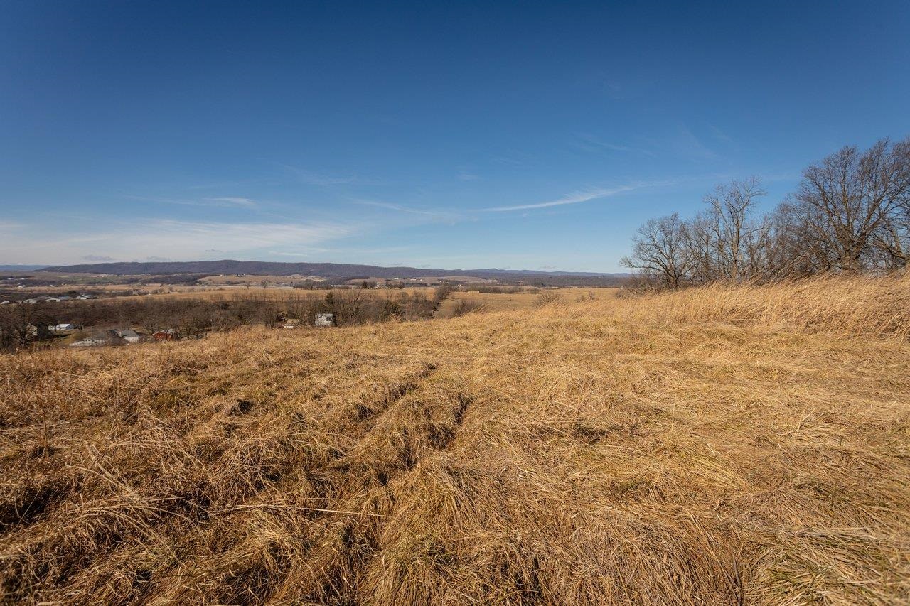 15854 FORESTVILLE RD, TIMBERVILLE, Virginia 22853, ,Land,15854 FORESTVILLE RD,673087 MLS # 673087 15854 FORESTVILLE RD, TIMBERVILLE, Virginia 22853, ,Land,15854 FORESTVILLE RD,673087 MLS # 673087