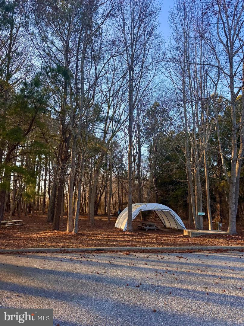 6468 LANKFORD HWY, NASSAWADOX, Virginia 23413, ,Land,For sale,6468 LANKFORD HWY,VANH2000096 MLS # VANH2000096