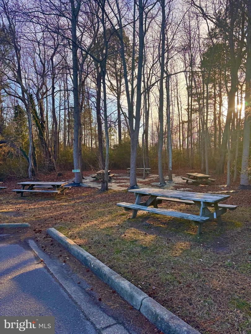 6468 LANKFORD HWY, NASSAWADOX, Virginia 23413, ,Land,For sale,6468 LANKFORD HWY,VANH2000096 MLS # VANH2000096