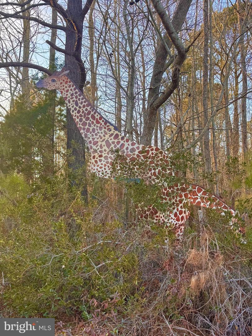 6468 LANKFORD HWY, NASSAWADOX, Virginia 23413, ,Land,For sale,6468 LANKFORD HWY,VANH2000096 MLS # VANH2000096