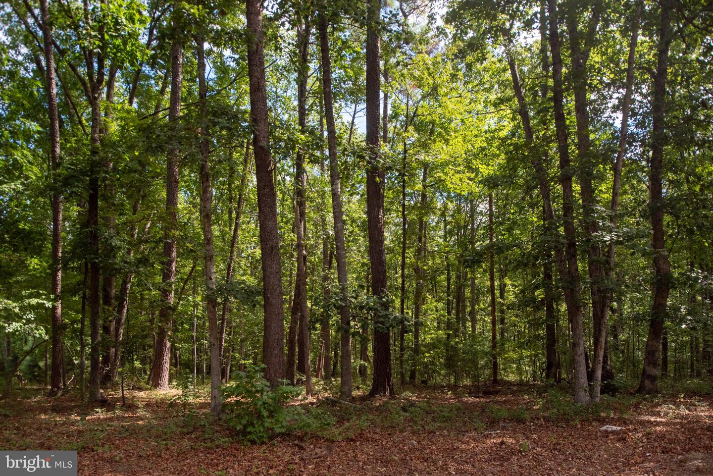 11204 HONOR BRIDGE FARM PLACE PL, SPOTSYLVANIA, Virginia 22551, 5 Bedrooms Bedrooms, 14 Rooms Rooms,3 BathroomsBathrooms,Residential,For sale,11204 HONOR BRIDGE FARM PLACE PL,VASP2037276 MLS # VASP2037276