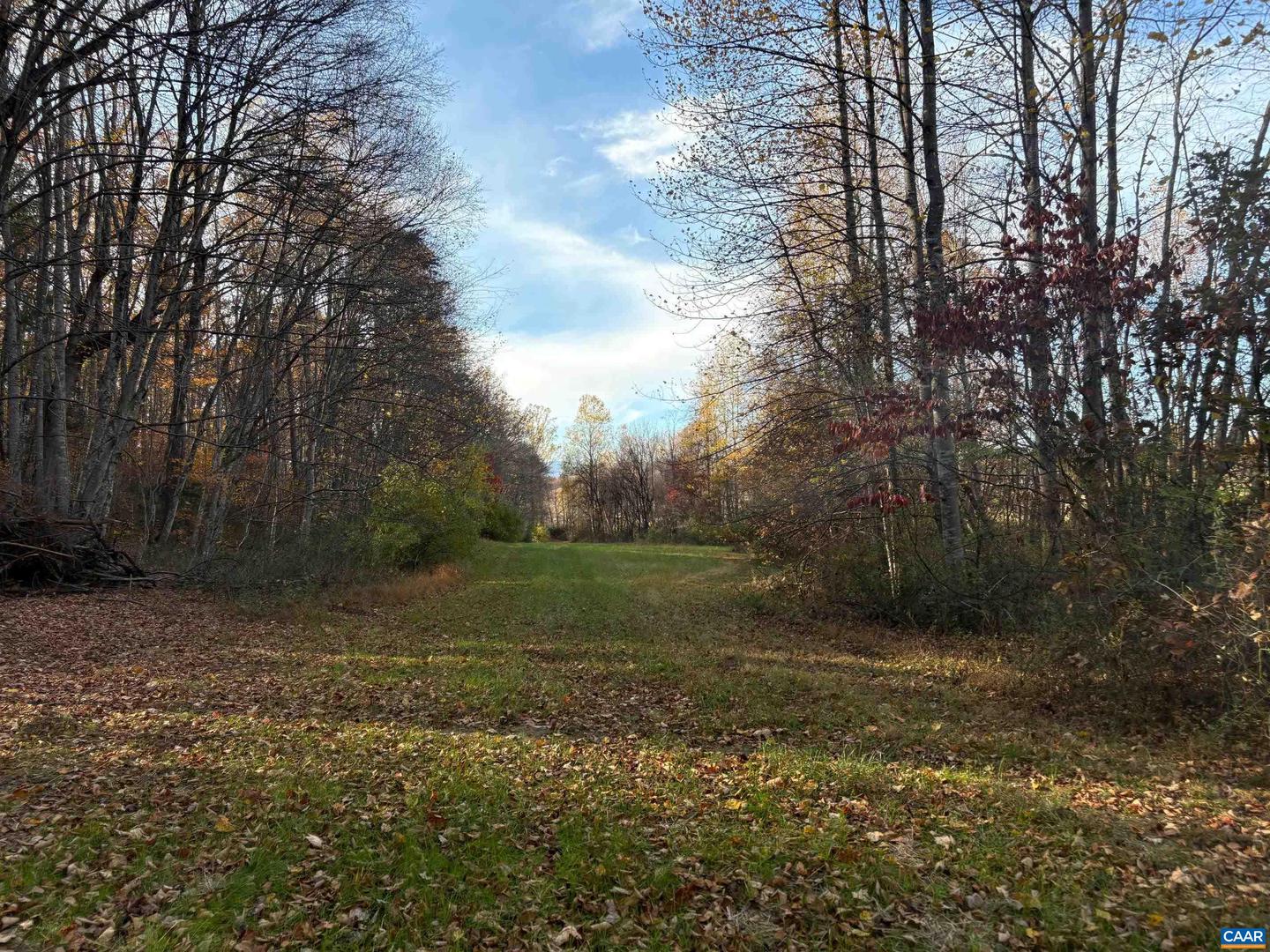 LOT E, TM 24-30 W HOOVER RD #E, REVA, Virginia 22735, ,Land,For sale,LOT E, TM 24-30 W HOOVER RD #E,669993 MLS # 669993