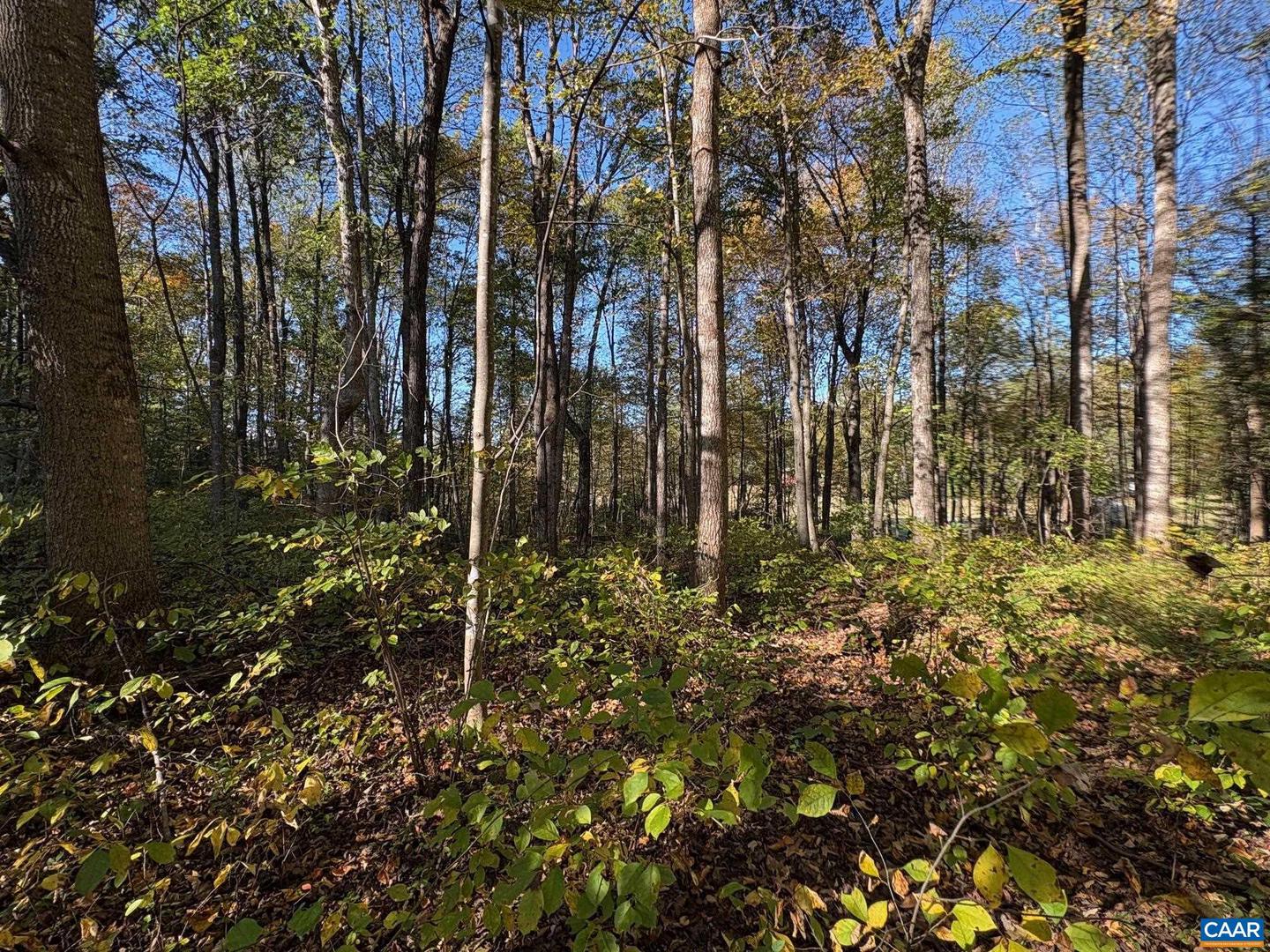 LOT E, TM 24-30 W HOOVER RD #E, REVA, Virginia 22735, ,Land,For sale,LOT E, TM 24-30 W HOOVER RD #E,669993 MLS # 669993