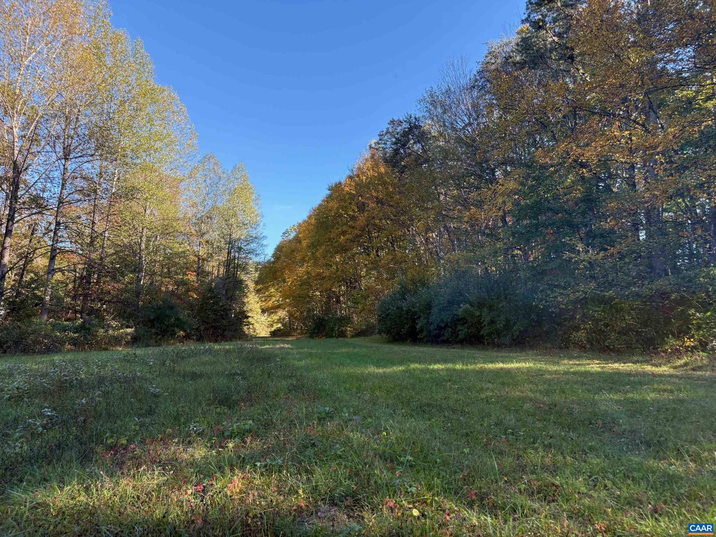 LOT E, TM 24-30 W HOOVER RD #E, REVA, Virginia 22735, ,Land,For sale,LOT E, TM 24-30 W HOOVER RD #E,669993 MLS # 669993