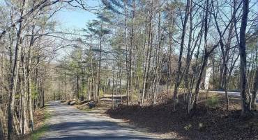 00 LEE RD, BASYE, Virginia 22810, ,Land,For sale,00 LEE RD,VASH2013214 MLS # VASH2013214