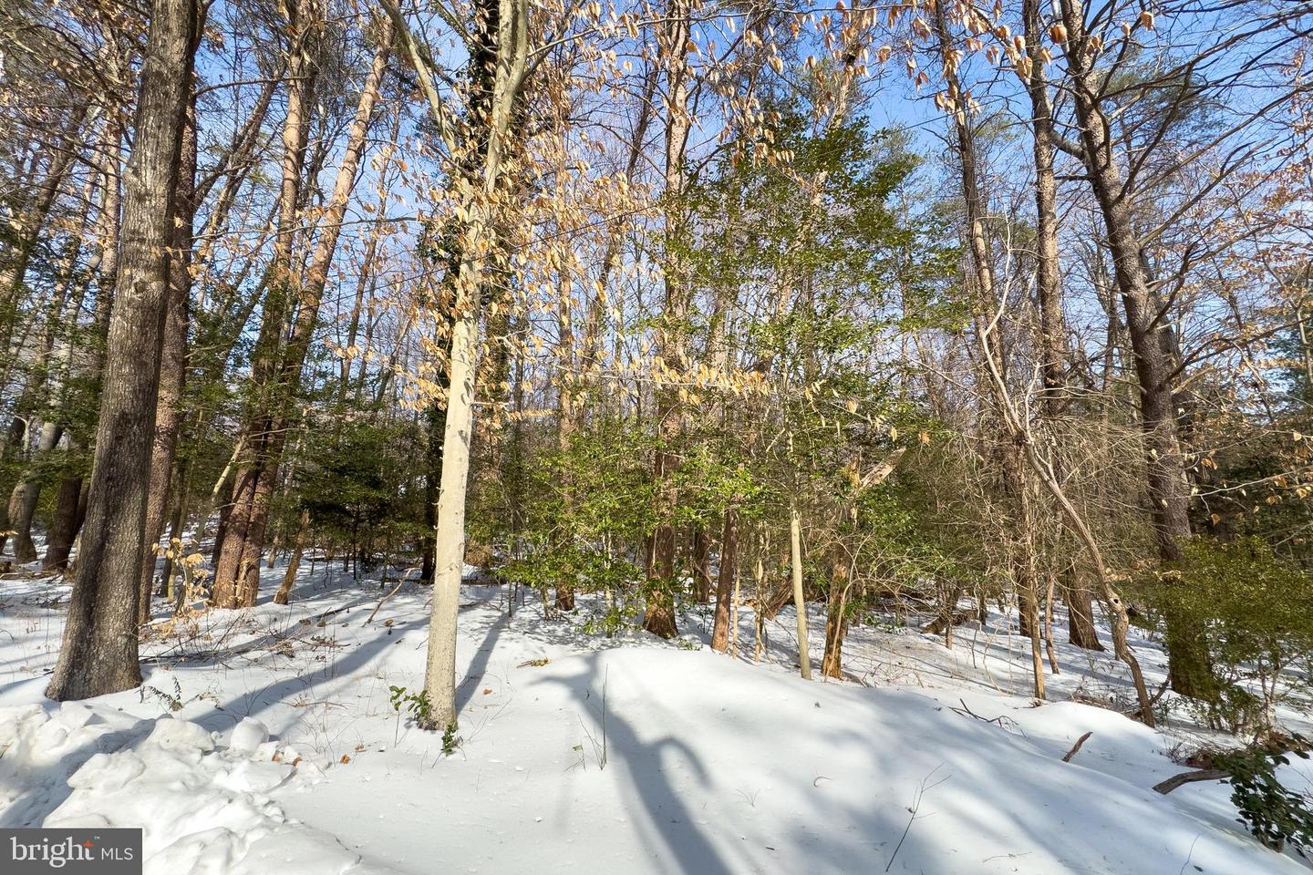 11529 POPES HEAD RD, FAIRFAX, Virginia 22030, ,Land,For sale,11529 POPES HEAD RD,VAFX2286160 MLS # VAFX2286160