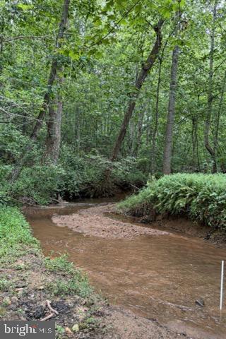 3417 BEAR POND LN, AMISSVILLE, Virginia 20106, 4 Bedrooms Bedrooms, 13 Rooms Rooms,2 BathroomsBathrooms,Residential,For sale,3417 BEAR POND LN,VACU2012618 MLS # VACU2012618