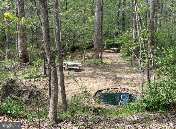 3417 BEAR POND LN, AMISSVILLE, Virginia 20106, 4 Bedrooms Bedrooms, 13 Rooms Rooms,2 BathroomsBathrooms,Residential,For sale,3417 BEAR POND LN,VACU2012618 MLS # VACU2012618