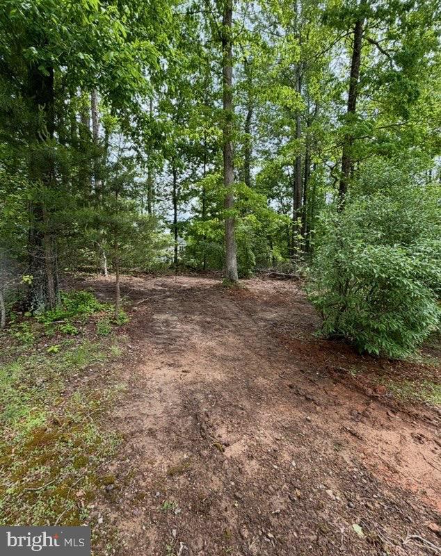 3417 BEAR POND LN, AMISSVILLE, Virginia 20106, 4 Bedrooms Bedrooms, 13 Rooms Rooms,2 BathroomsBathrooms,Residential,For sale,3417 BEAR POND LN,VACU2012618 MLS # VACU2012618