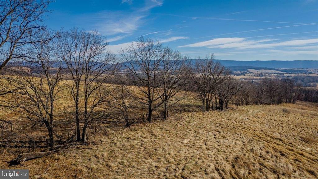 15854 FORESTVILLE RD, TIMBERVILLE, Virginia 22853, ,Land,For sale,15854 FORESTVILLE RD,VARO2002844 MLS # VARO2002844