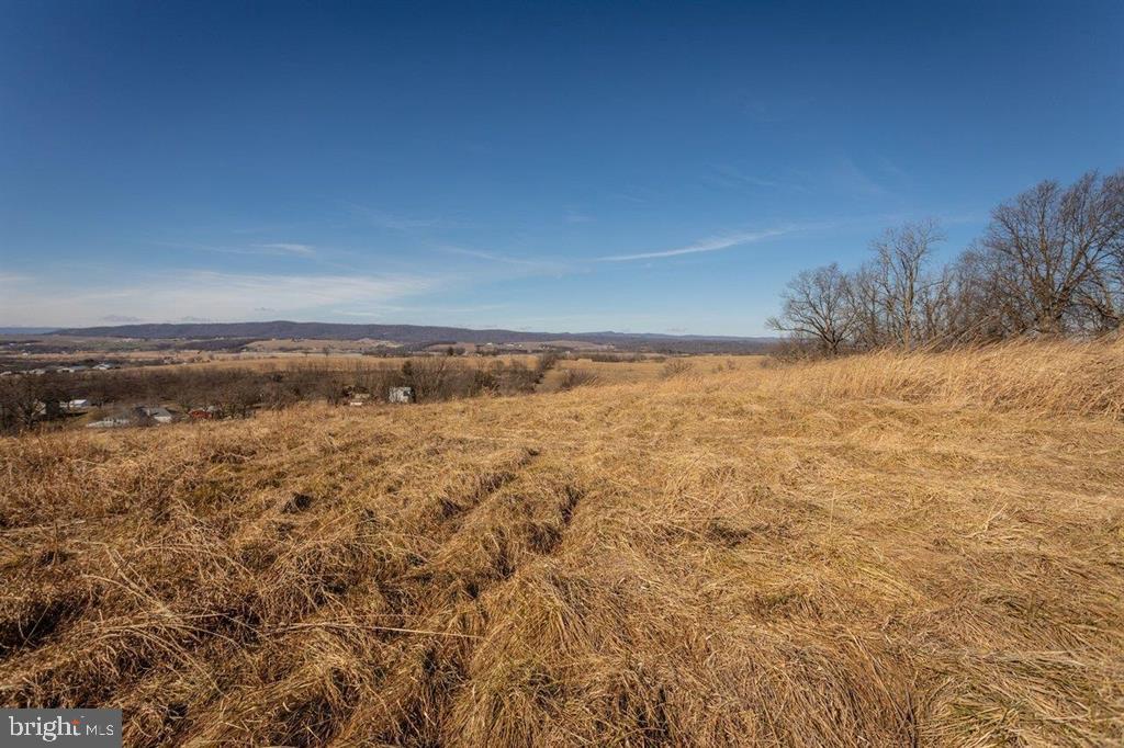 15854 FORESTVILLE RD, TIMBERVILLE, Virginia 22853, ,Land,For sale,15854 FORESTVILLE RD,VARO2002844 MLS # VARO2002844