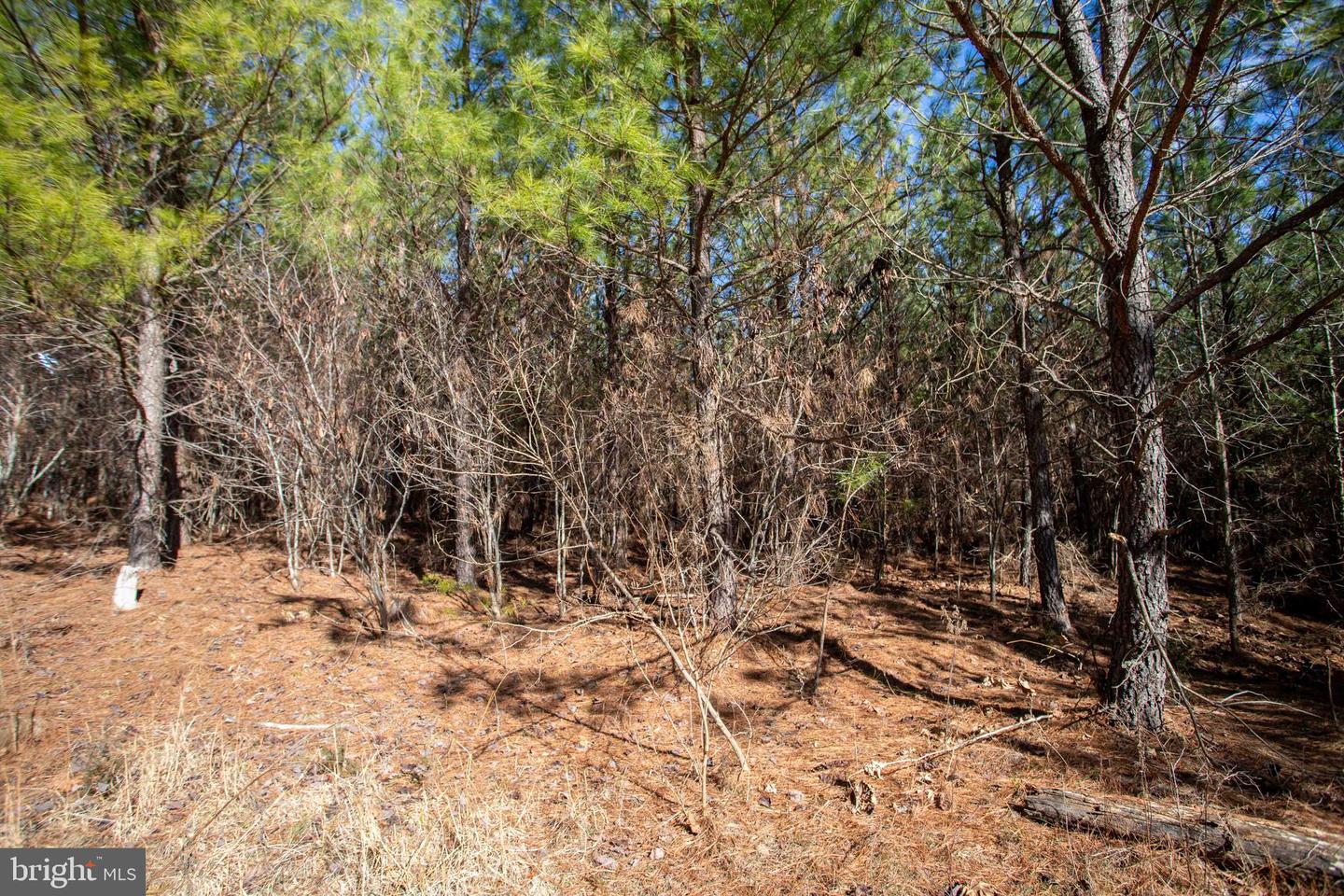 TBD W GRETNA, SANDY LEVEL, Virginia 24161, ,Land,For sale,TBD W GRETNA,VAPI2000122 MLS # VAPI2000122