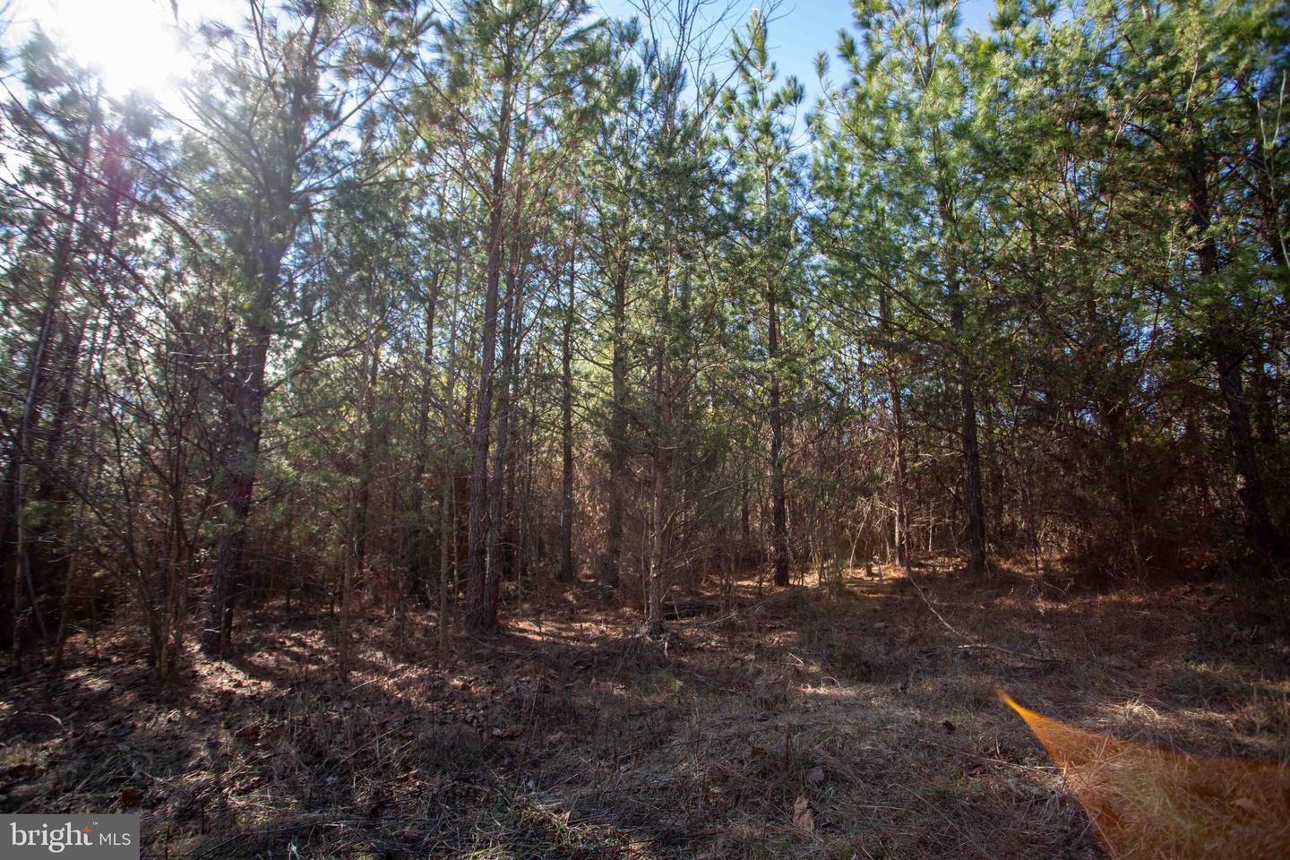 TBD W GRETNA, SANDY LEVEL, Virginia 24161, ,Land,For sale,TBD W GRETNA,VAPI2000122 MLS # VAPI2000122