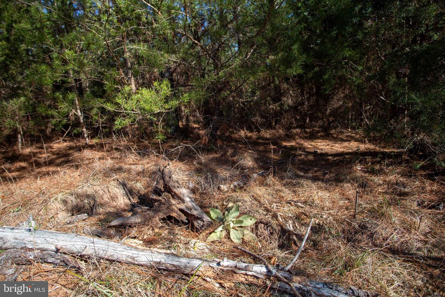 TBD W GRETNA, SANDY LEVEL, Virginia 24161, ,Land,For sale,TBD W GRETNA,VAPI2000122 MLS # VAPI2000122