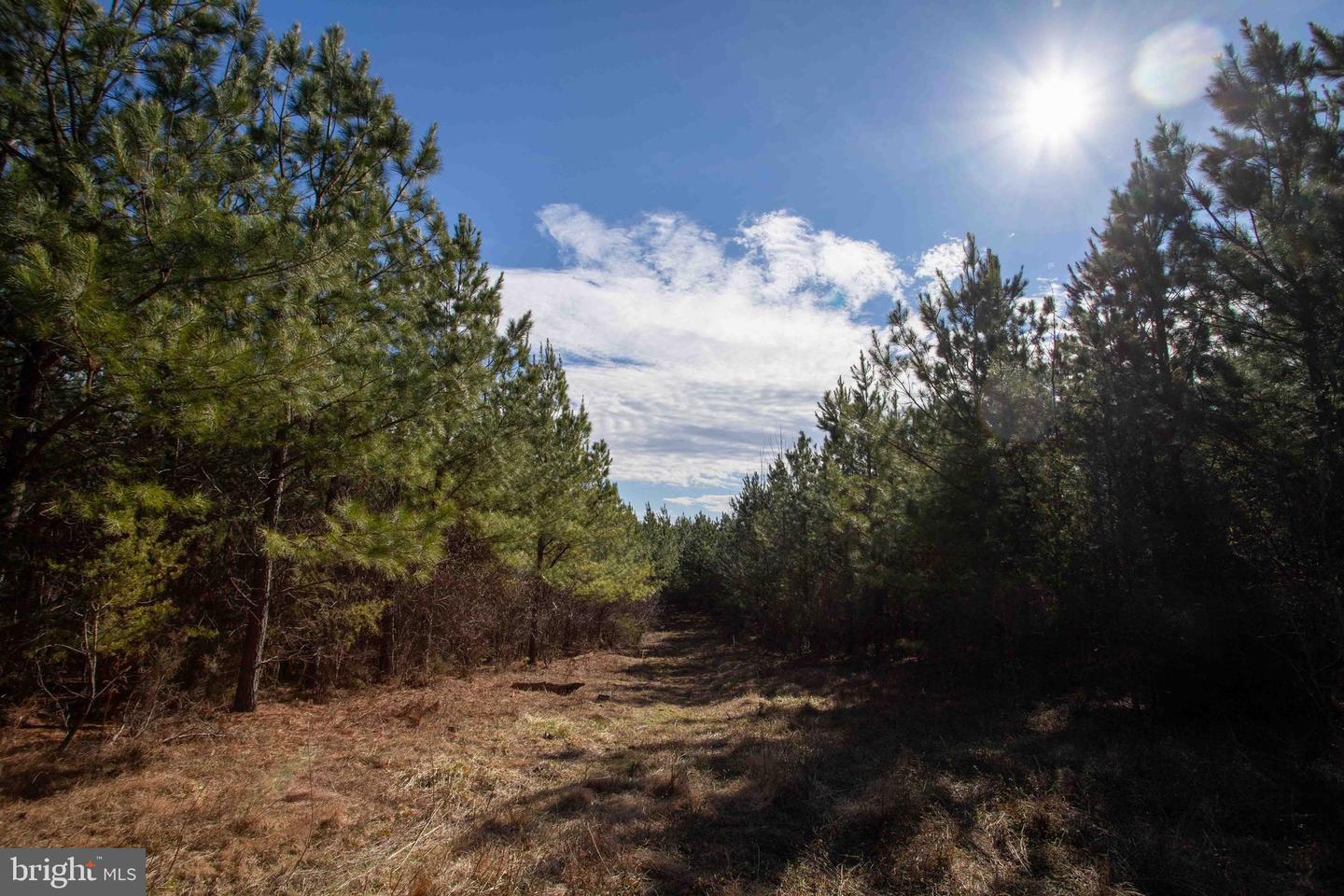 TBD W GRETNA, SANDY LEVEL, Virginia 24161, ,Land,For sale,TBD W GRETNA,VAPI2000122 MLS # VAPI2000122