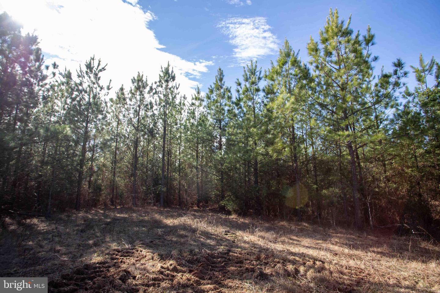 TBD W GRETNA, SANDY LEVEL, Virginia 24161, ,Land,For sale,TBD W GRETNA,VAPI2000122 MLS # VAPI2000122