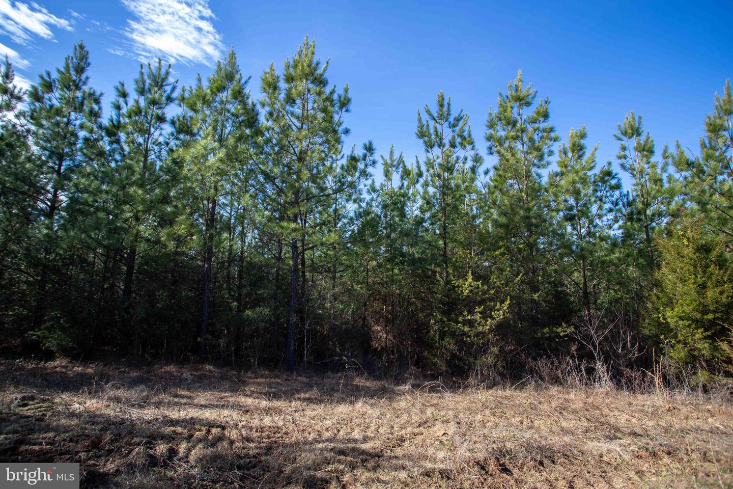 TBD W GRETNA, SANDY LEVEL, Virginia 24161, ,Land,For sale,TBD W GRETNA,VAPI2000122 MLS # VAPI2000122