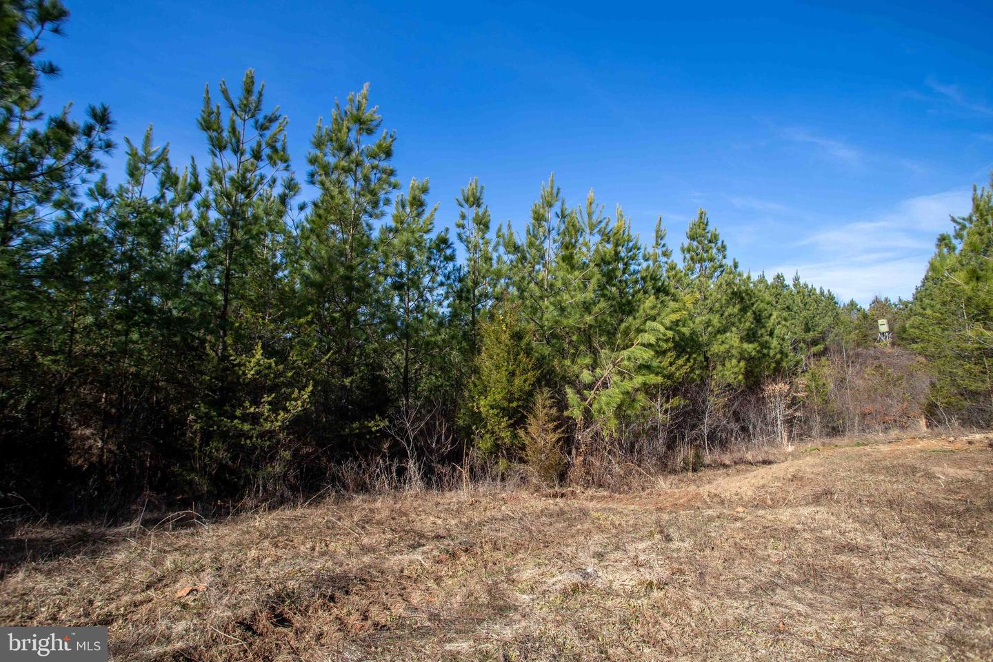 TBD W GRETNA, SANDY LEVEL, Virginia 24161, ,Land,For sale,TBD W GRETNA,VAPI2000122 MLS # VAPI2000122