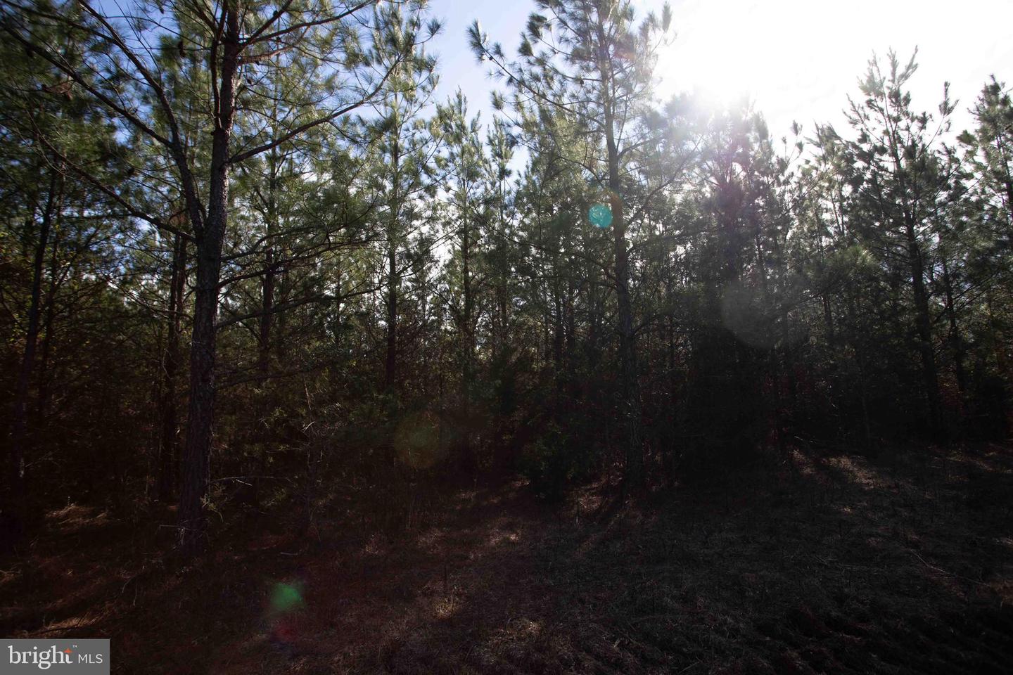 TBD W GRETNA, SANDY LEVEL, Virginia 24161, ,Land,For sale,TBD W GRETNA,VAPI2000122 MLS # VAPI2000122