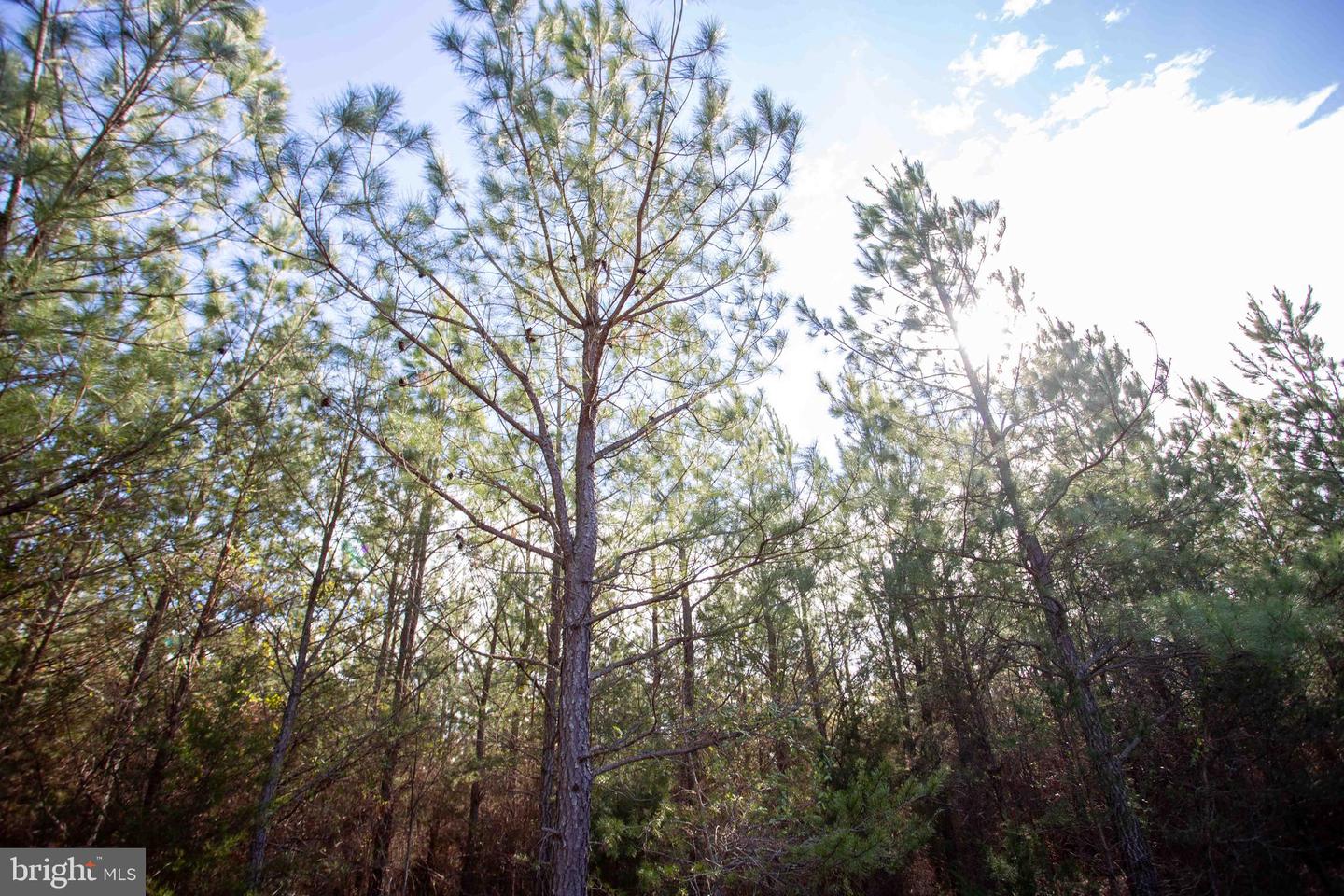 TBD W GRETNA, SANDY LEVEL, Virginia 24161, ,Land,For sale,TBD W GRETNA,VAPI2000122 MLS # VAPI2000122