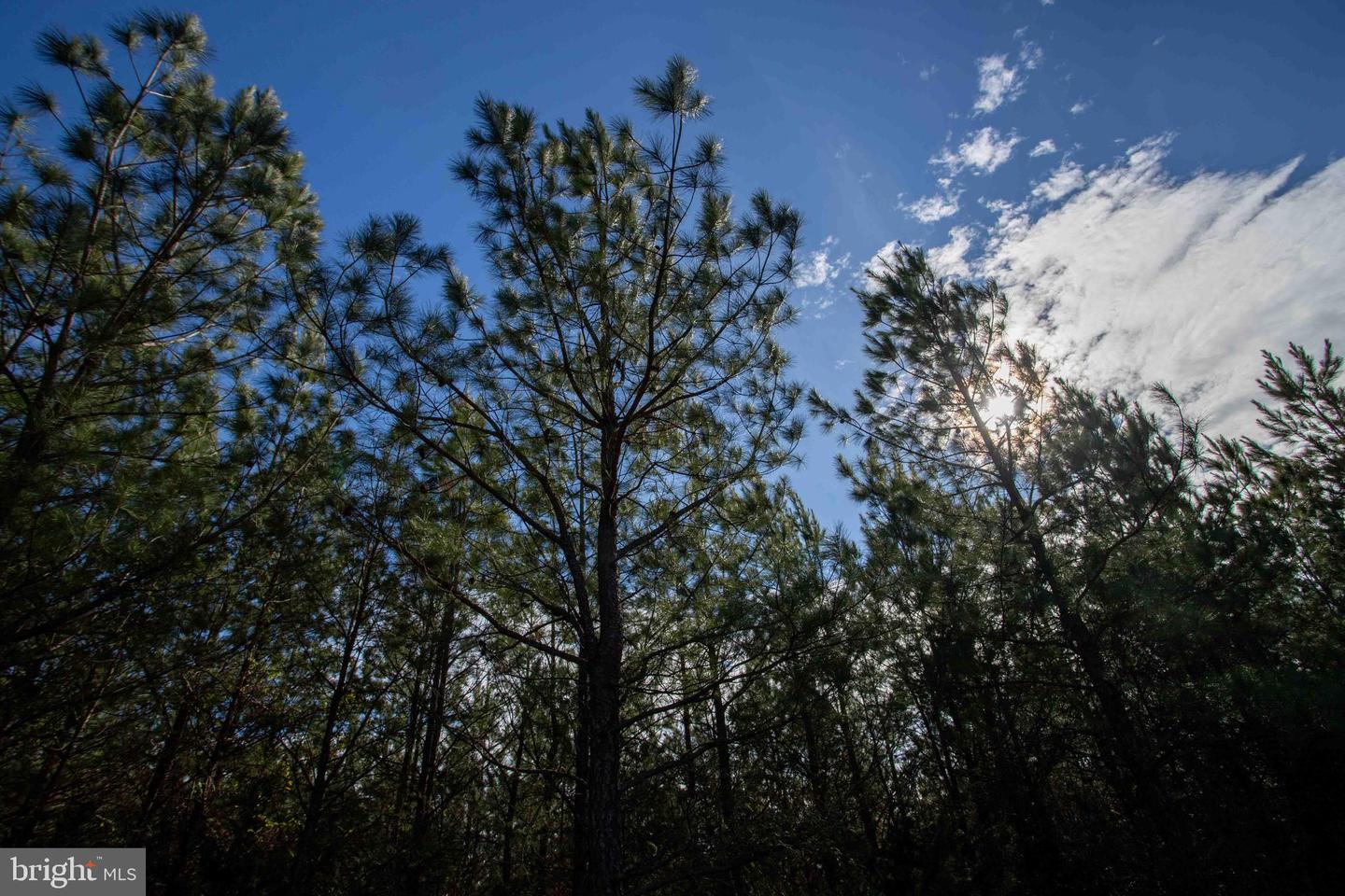 TBD W GRETNA, SANDY LEVEL, Virginia 24161, ,Land,For sale,TBD W GRETNA,VAPI2000122 MLS # VAPI2000122