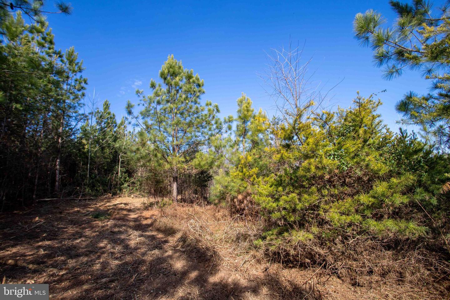 TBD W GRETNA, SANDY LEVEL, Virginia 24161, ,Land,For sale,TBD W GRETNA,VAPI2000122 MLS # VAPI2000122