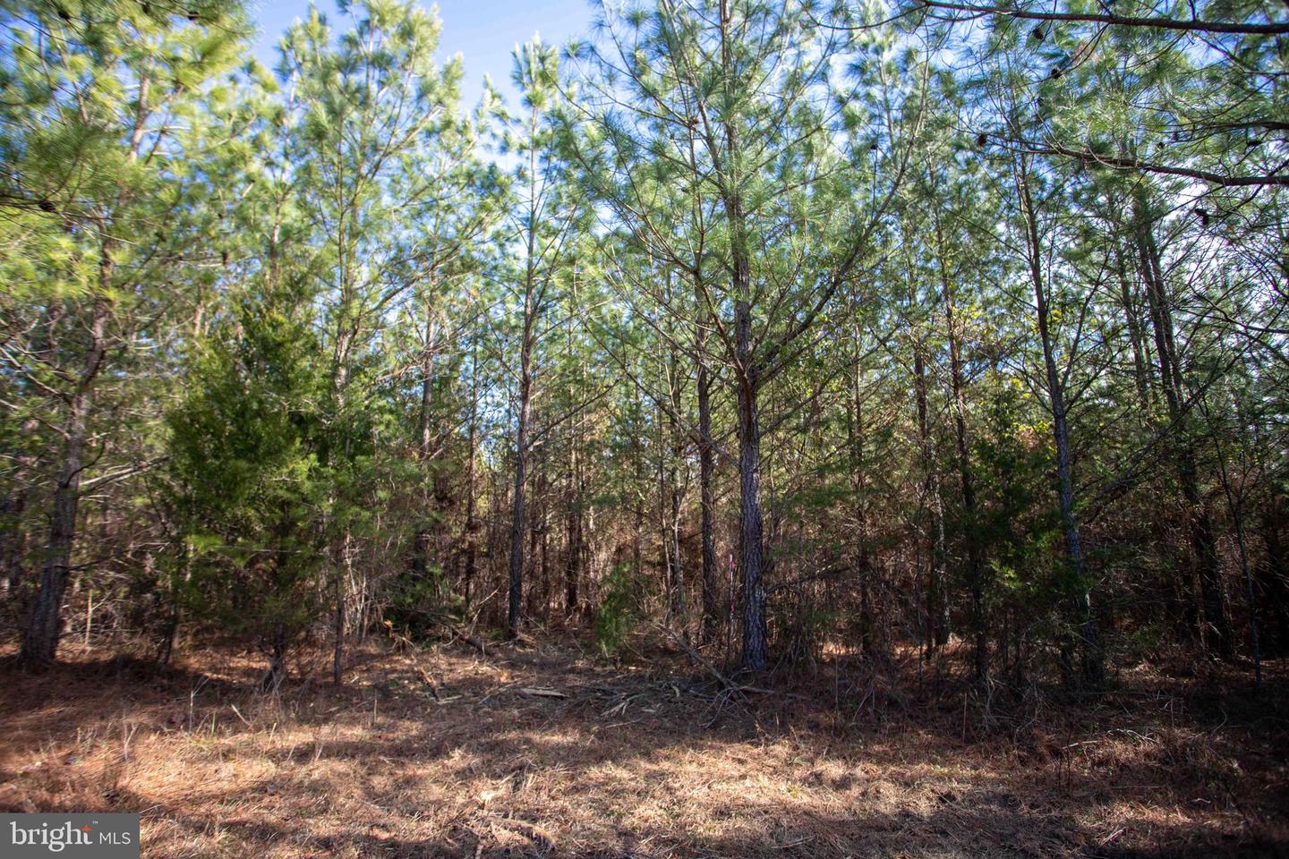 TBD W GRETNA, SANDY LEVEL, Virginia 24161, ,Land,For sale,TBD W GRETNA,VAPI2000122 MLS # VAPI2000122