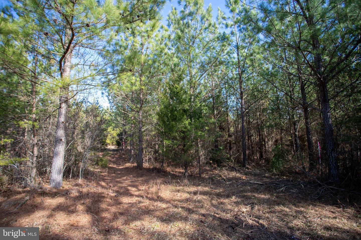 TBD W GRETNA, SANDY LEVEL, Virginia 24161, ,Land,For sale,TBD W GRETNA,VAPI2000122 MLS # VAPI2000122