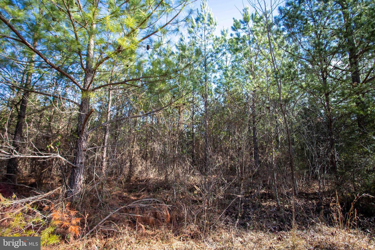 TBD W GRETNA, SANDY LEVEL, Virginia 24161, ,Land,For sale,TBD W GRETNA,VAPI2000122 MLS # VAPI2000122