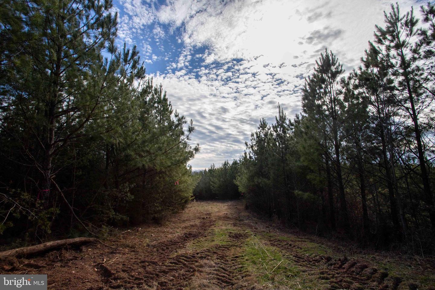 TBD W GRETNA, SANDY LEVEL, Virginia 24161, ,Land,For sale,TBD W GRETNA,VAPI2000122 MLS # VAPI2000122