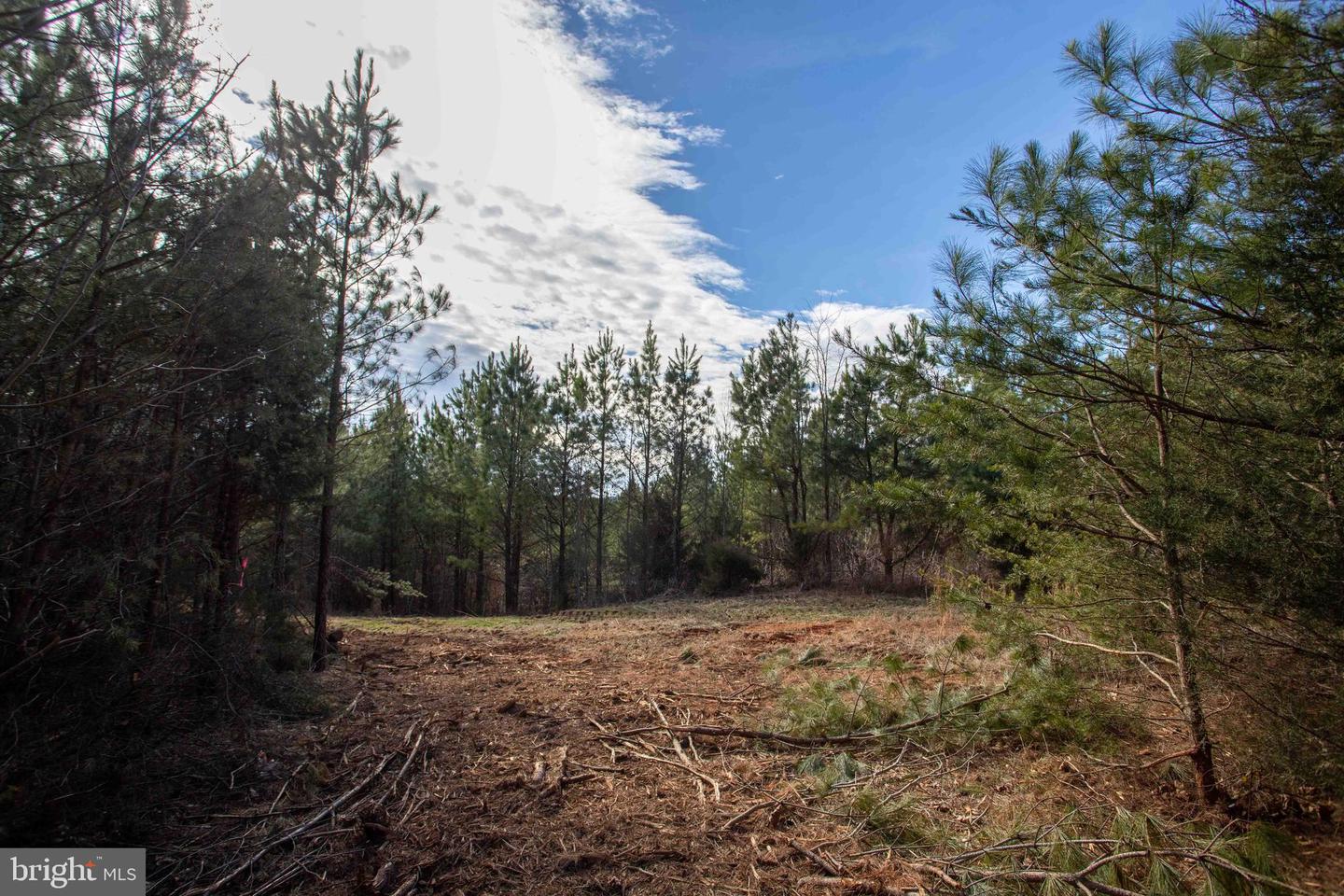 TBD W GRETNA, SANDY LEVEL, Virginia 24161, ,Land,For sale,TBD W GRETNA,VAPI2000122 MLS # VAPI2000122